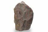 Free-Standing Polished Tiger Iron Stromatolite - Ga #222940-3